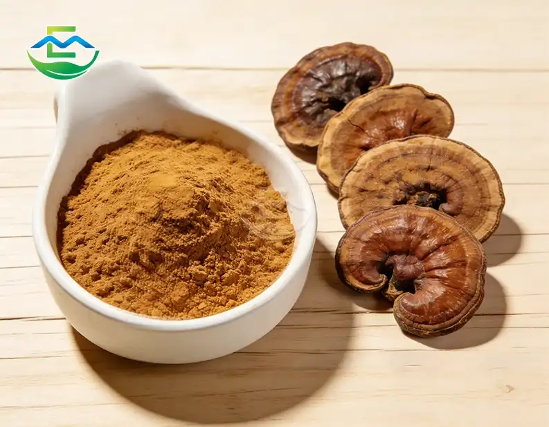 Reishi Mushroom Extract Powder vs Whole Mushroom: Key Differences